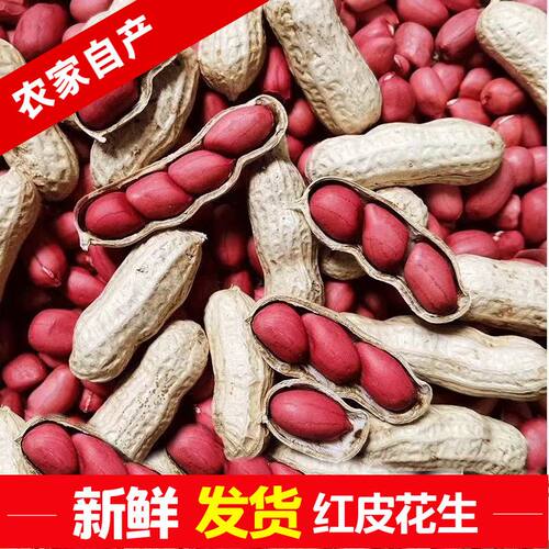 红皮花生红衣四粒红花生新鲜炒货