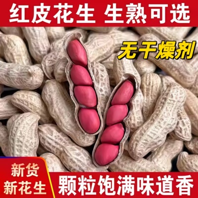 农家新鲜晒干红皮花生四粒红花生