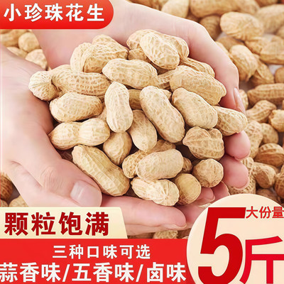 现炒现发当季带壳小珍珠花生蒜香味卤味炒制坚果零食聚会小吃年货