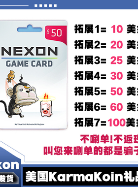 美国Nexon国际服POE/DFO冒险岛Karma Koin点卡KK卡 10 50 100美金