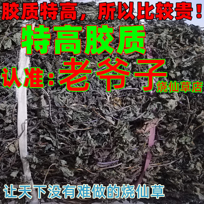 高胶质烧仙草黑凉粉青草糊