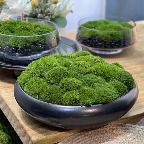 中式永生苔藓摆件 酒店茶几洽谈桌书房微景观盆景售楼处桌面绿植