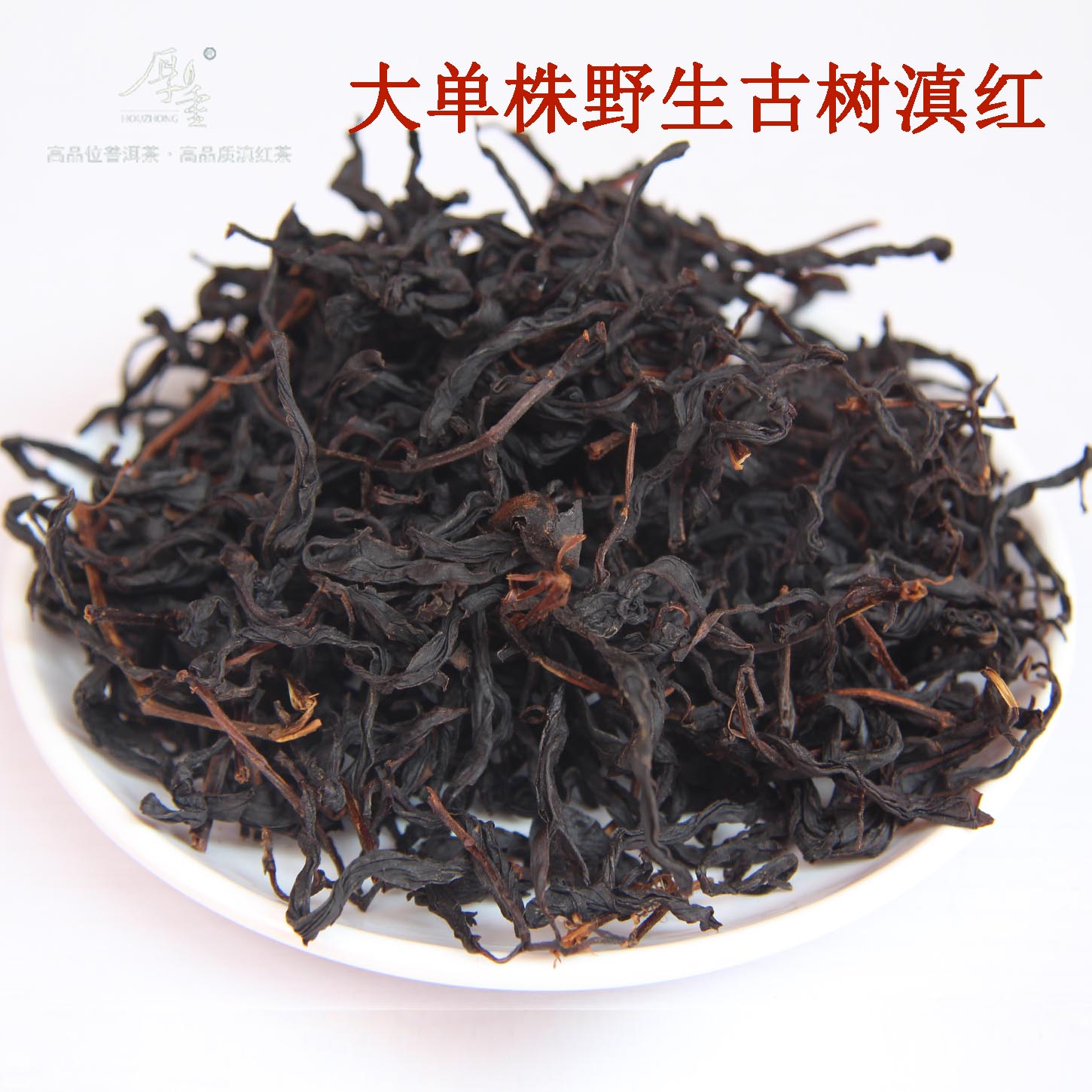 凤庆大单株野生古树滇红茶花香