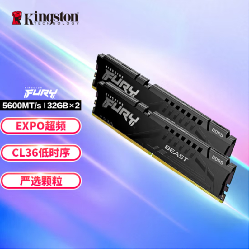 金士顿 (Kingston) FURY 32GB(32G×2)套装 DD