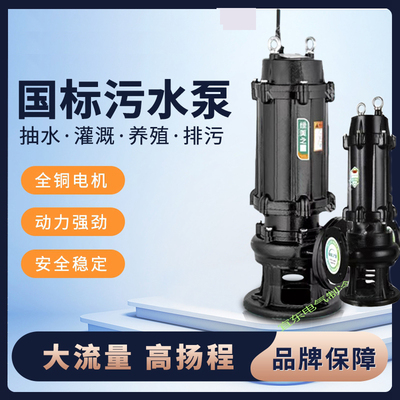 绿美之星排污泵大功率高扬程不堵