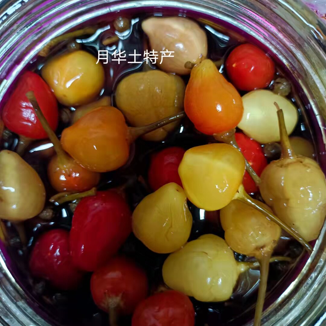 泡灯笼椒图片,灯笼椒图片_大山谷图库