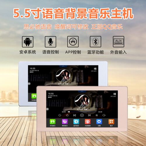 Bergise5.5寸家庭背景音乐主机