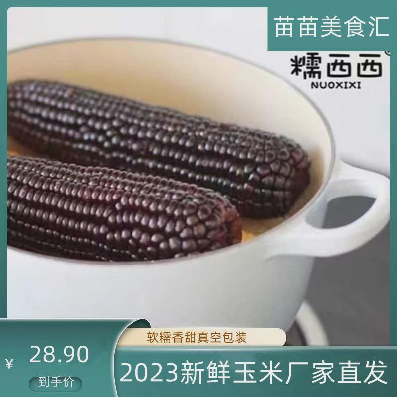 新货糯西西黑糯玉米220g*8根黑色甜糯黑糯山西忻州黑黏玉米糯玉米