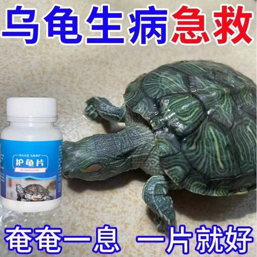 护龟片养龟免煮龙眼叶腐皮烂甲调节改善水质乌龟用龟缸造景