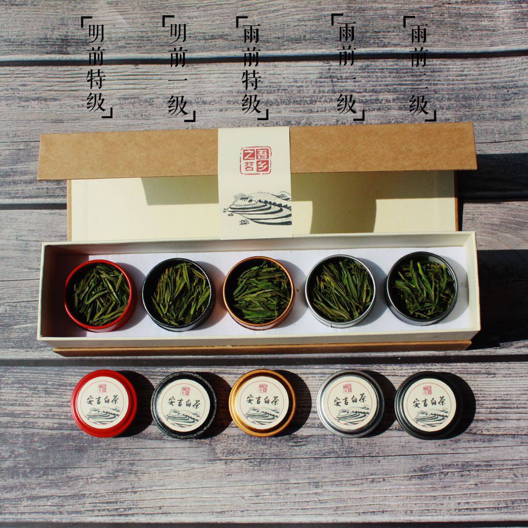 新货安吉白茶  40g五种等级 中国风茶叶伴手礼小罐装新货