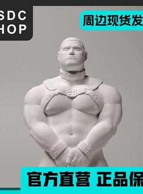 周边现货【DSDC SHOP】  忠犬01朴朴 WearGuy Studio 石膏 周边