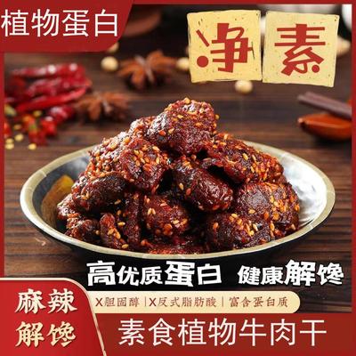 桂中元植物牛肉干纯净素植物肉仿荤大豆蛋白零食佛家无五辛素牛肉