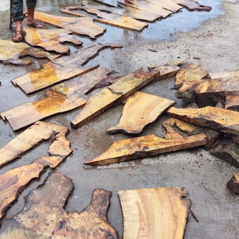 热销四川金丝楠木料原木水波纹满金丝实木大板钢笔烟斗手球镇尺弹