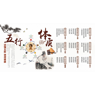 热销九种体质文化墙纸中医养生馆背景墙装 饰壁画五行体质宣传展板