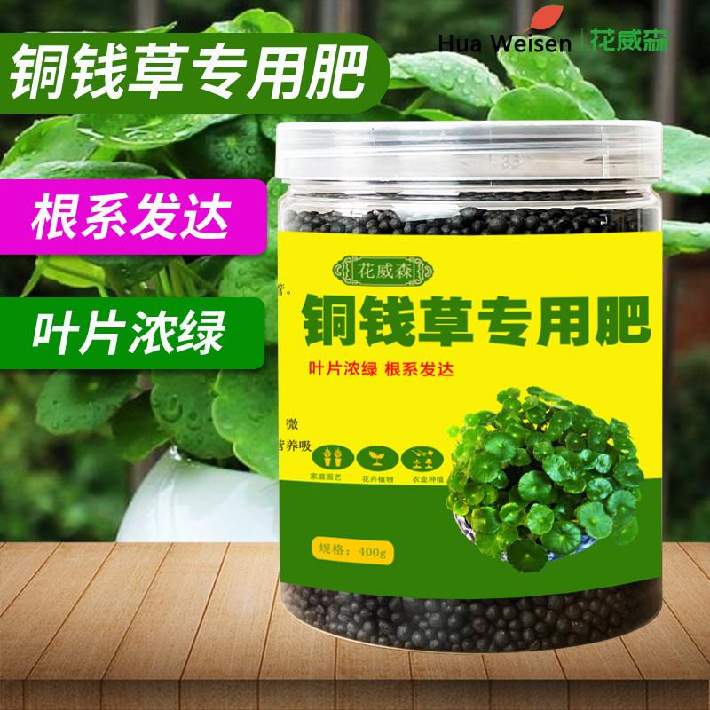 铜钱草肥铜钱草肥料水培营养液通用型绿植盆栽颗粒缓释复合肥