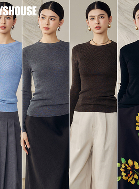 罗衣简约基础款修身毛衣2025秋季新款保暖绵羊毛打底针织衫12978