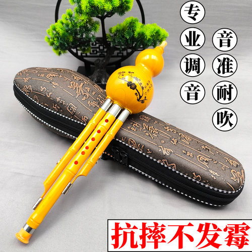 葫芦丝三音降BC调成人儿童初学者入门演奏小学生学校防摔树脂乐器 - 封面