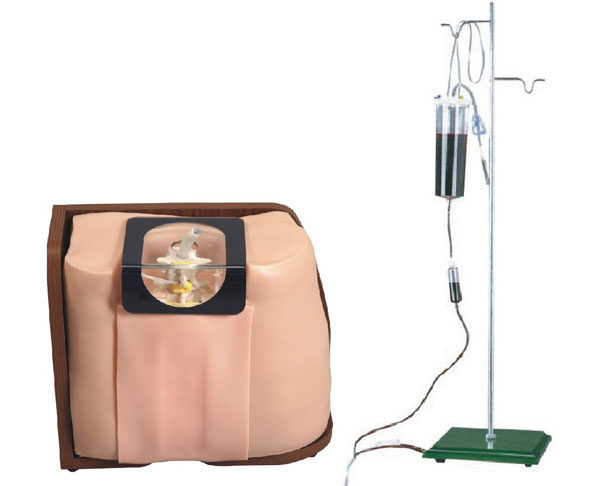 脊椎穿刺模型 腰椎穿刺模拟人 人体模型 硬膜外 腰穿 骨穿 模拟人