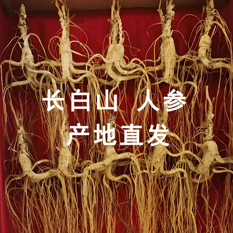 人参长白山东北人参特产礼盒干人参泡酒煲汤非野山参林下参山参