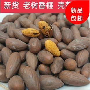 2025年新货香榧子绍兴诸暨枫桥老树香榧壳薄肉香大颗坚果特产
