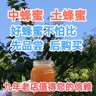 农家自养自销蜂蜜中蜂蜜土蜂蜜百花蜜农家蜜纯天然零添加美容保健