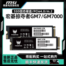宏碁掠夺者GM7/GM7000 1T/2T /4TB M2NVMESSD固态硬盘 PCIe4.0m.2