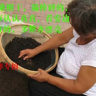 山东野生桑树老品种黑桑椹干泡茶煮粥养生500克包邮