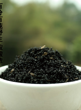 500g广西黑蚂蚁干产地直发可打粉