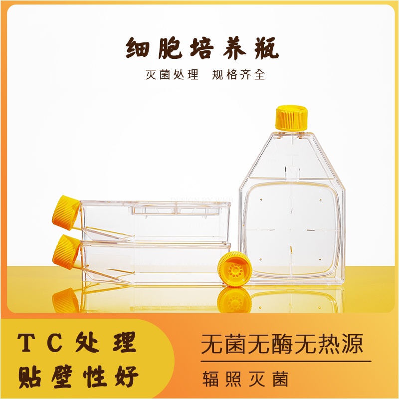 TC处理25cm²贴壁细胞培养瓶,50ml,透气盖,灭菌10个/包,2包