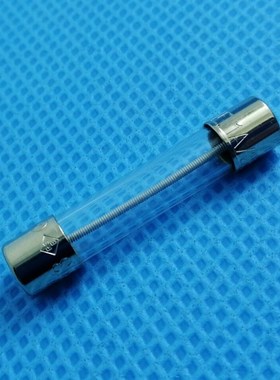 LF.1A/250VP美国力特保险丝6.3*32玻璃 保险丝管6*30慢断313001-P