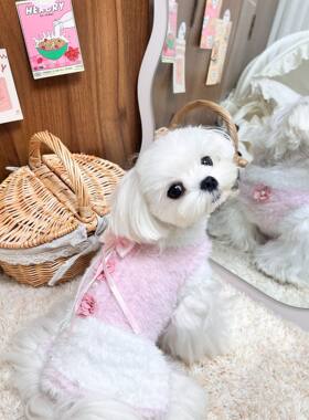 宠物衣服狗狗猫咪秋冬可爱背心貂绒马甲保暖外套仿毛中小型犬毛衣