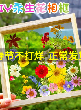 干花diy材料滴胶压花相框标本书签花束树叶天然押花框