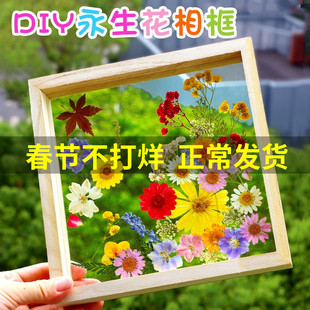 干花diy材料滴胶压花相框标本书签花束树叶天然押花框