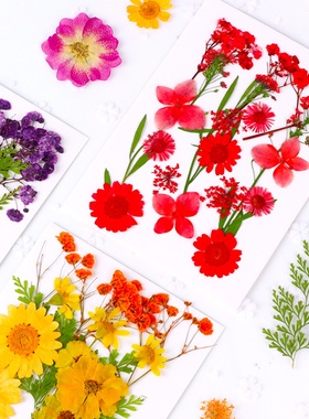 永生花DIY押花混合干花树叶包手工母亲节材料压花真花植物标本