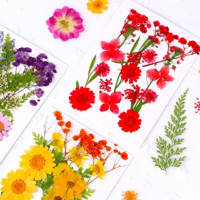 DIY押花混合干花树叶材料包