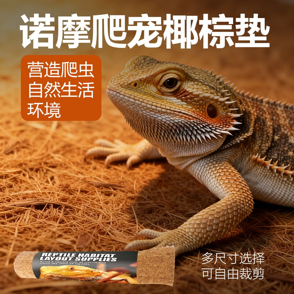 5种规格爬宠木箱保温过冬