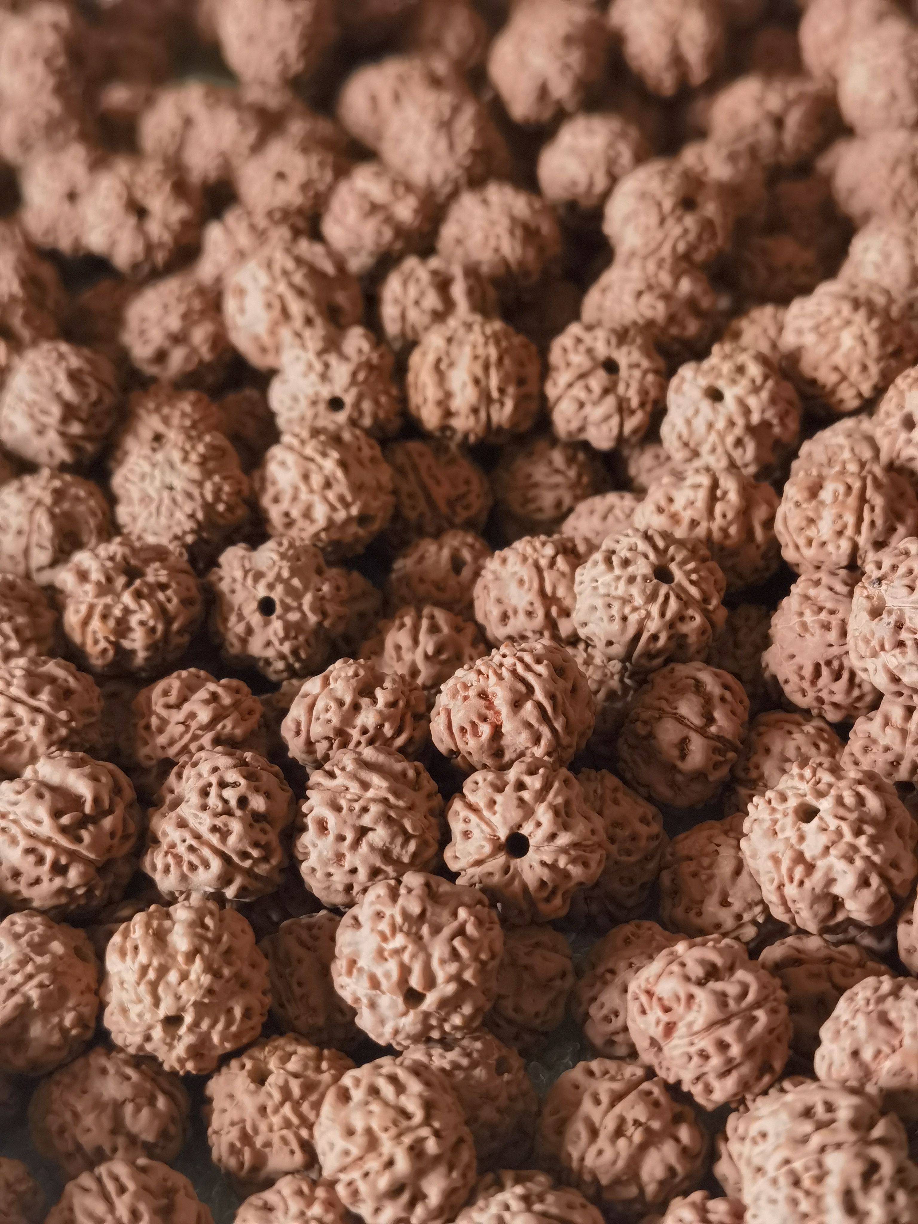 五瓣平细纹金刚菩提子十元一颗看菩提