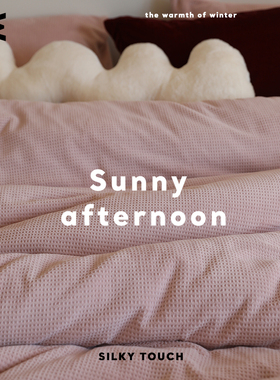 DAISYHOME敲柔软保暖温暖华夫绒牛奶绒床品四件套床单被套双面绒