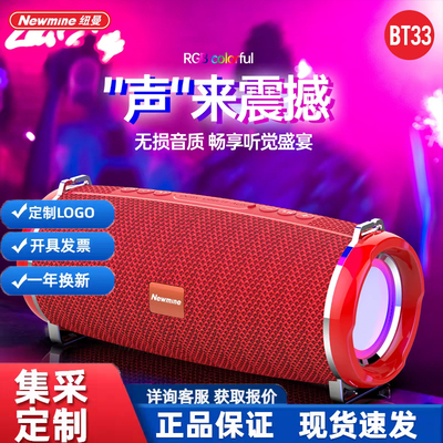 纽曼BT33蓝牙音箱无线音箱便携式