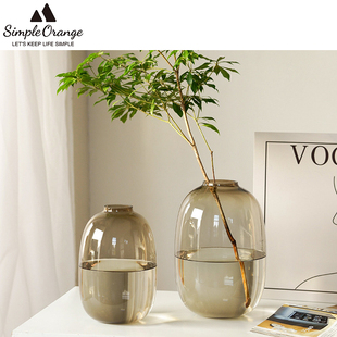 北欧轻奢简约玻璃客厅摆件花瓶插花水养马醉木高级感花瓶创意摆件