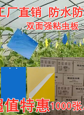 黄板粘虫板蓟马贴双面黏虫黄蓝板大棚诱虫板白粉虱小黑飞茶园果园