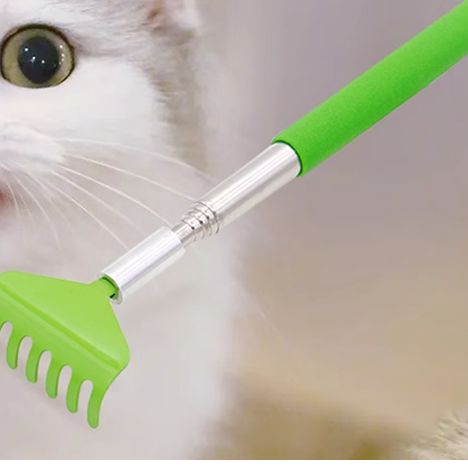 逗猫棒玩具猫咪按摩互动解闷痒痒挠抓痒撸猫神器可伸缩梳子梳毛刷