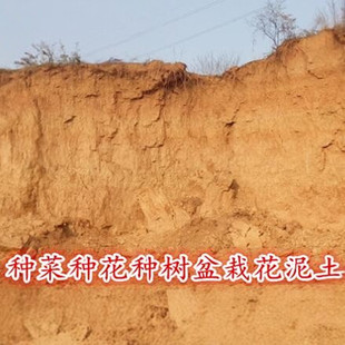 天然黄土山泥土种植土养花营养土壤种菜土泥茶花茉莉黄土泥黄泥巴