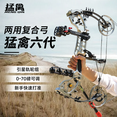 猛禽六代专业级两用复合弓高精度