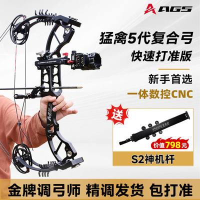 猛禽五代两用复合弓箭打钢珠