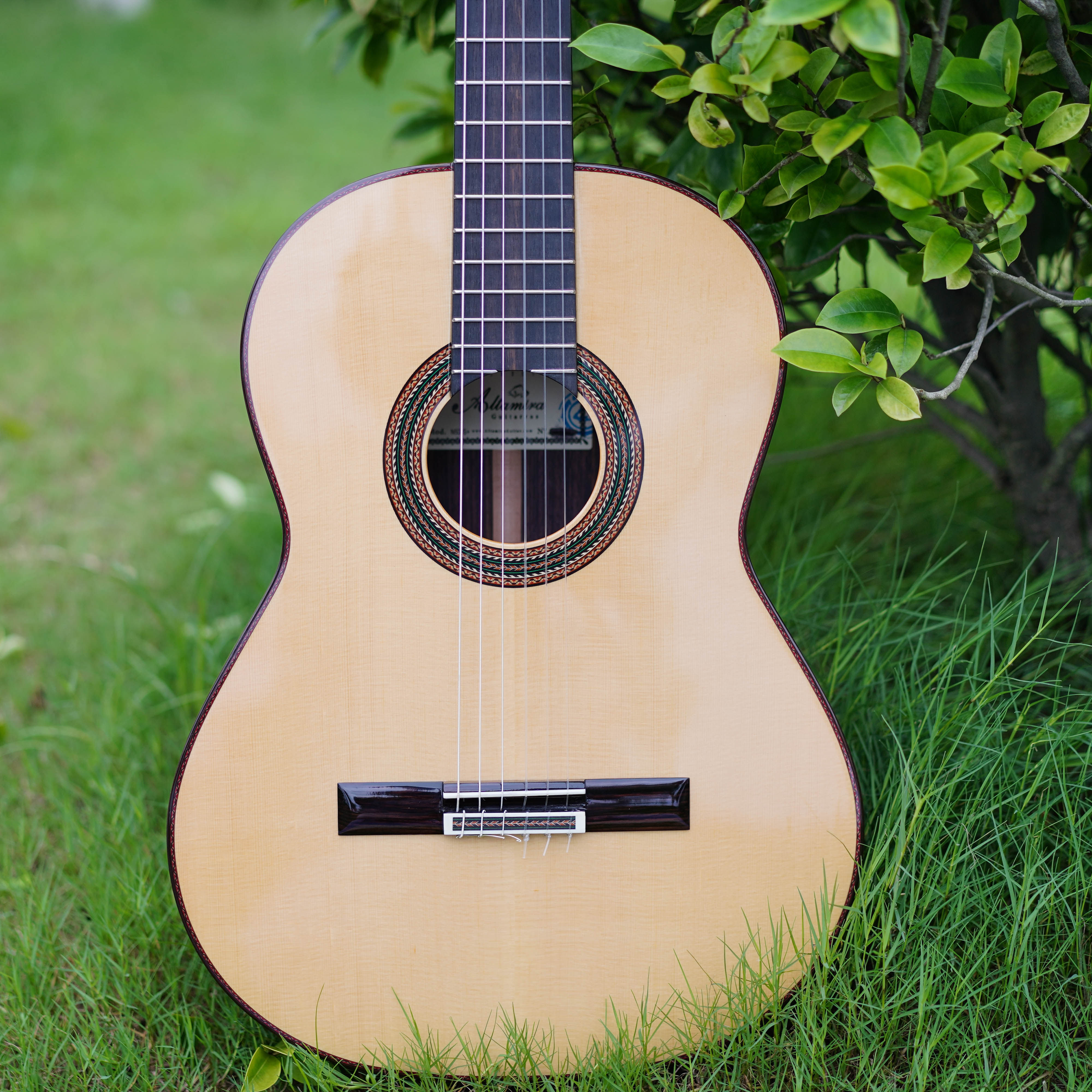 altamiraaltamira阿尔达米拉n600 专业演奏全单古典吉他红松白松