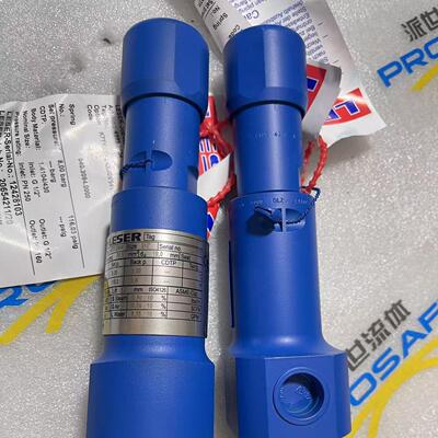 leser安全阀4373.2604原装进口正品现货德国莱斯专业维修安全阀