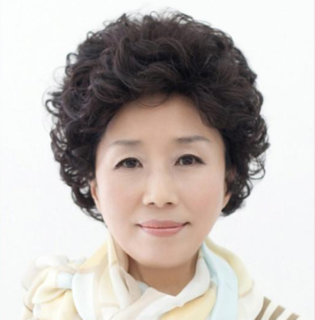 韩国短发妈妈假头发新款中老年假发中年人假发套高贵气质短卷发