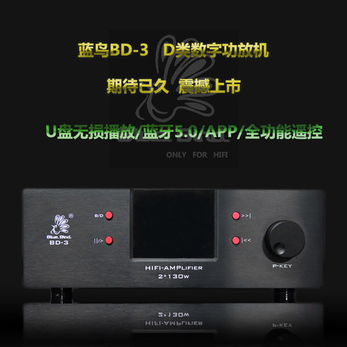 蓝鸟D类HIFI2220U盘蓝牙5.0解码