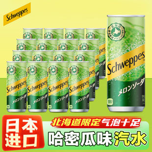 日本进口北海道Schweppes可口可乐怡泉哈密瓜味汽水气泡苏打饮料